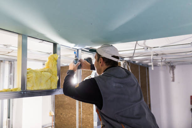 Best Spray Foam Insulation in Pike Creek, DE