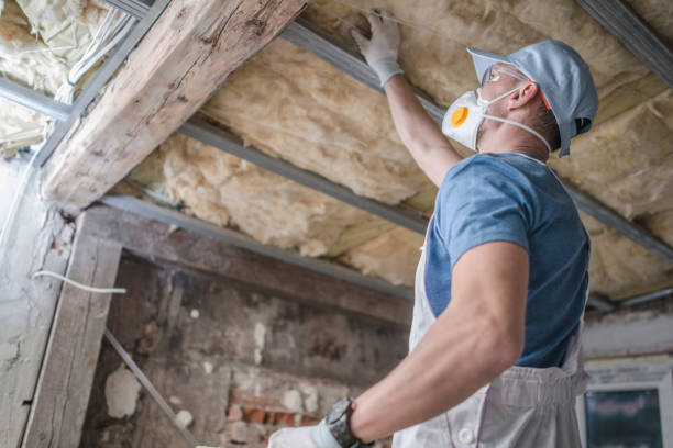 Best Geographic-Specific Insulation Services in Pike Creek, DE