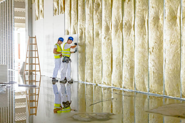 Best Residential Insulation in Pike Creek, DE
